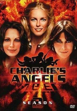 查理的天使霹雳娇娃第二季第25集